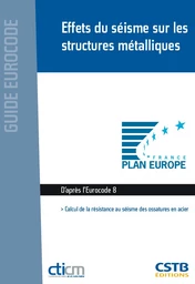 Effets du séisme sur les structures métalliques