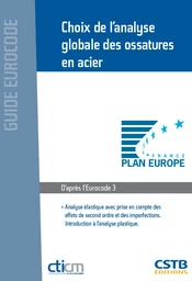 Choix de l'analyse globale des ossatures en acier