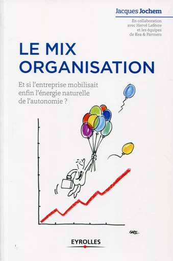 Le mix organisation - Jacques Jochem, Hervé Lefèvre - Editions Eyrolles