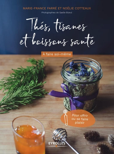 Thés, tisanes et boissons santé à faire soi-même - Marie-France Farré, Noëlie Cotteaux - Eyrolles