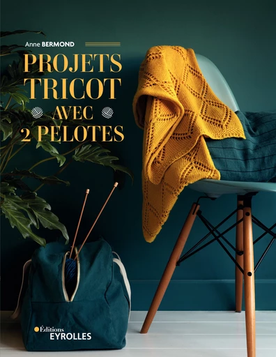 Projets tricot avec 2 pelotes - Anne Bermond - Eyrolles