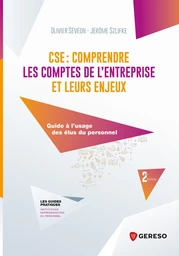 CSE : comprendre les comptes de l'entreprise et leurs enjeux