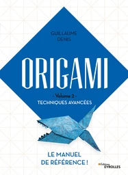 Origami - volume 2 - Techniques avancées