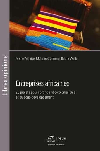 Entreprises africaines - Michel Villette, Mohamed Branine, Mohamed El Bachir Wade - Presses des Mines