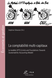 La comptabilité multi-capitaux